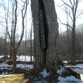 Totem pole at Racebrook